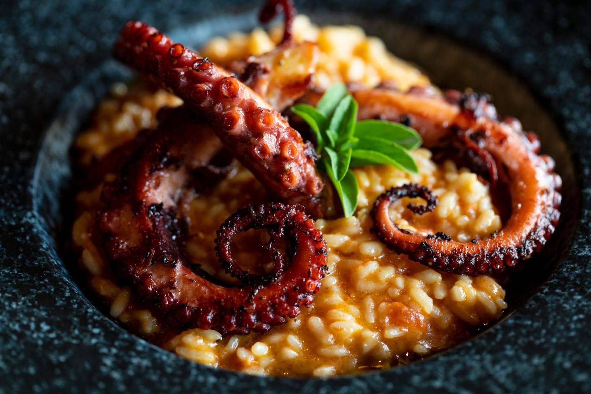 B Hotel Бразилиа Экстерьер фото Risotto alla marinara